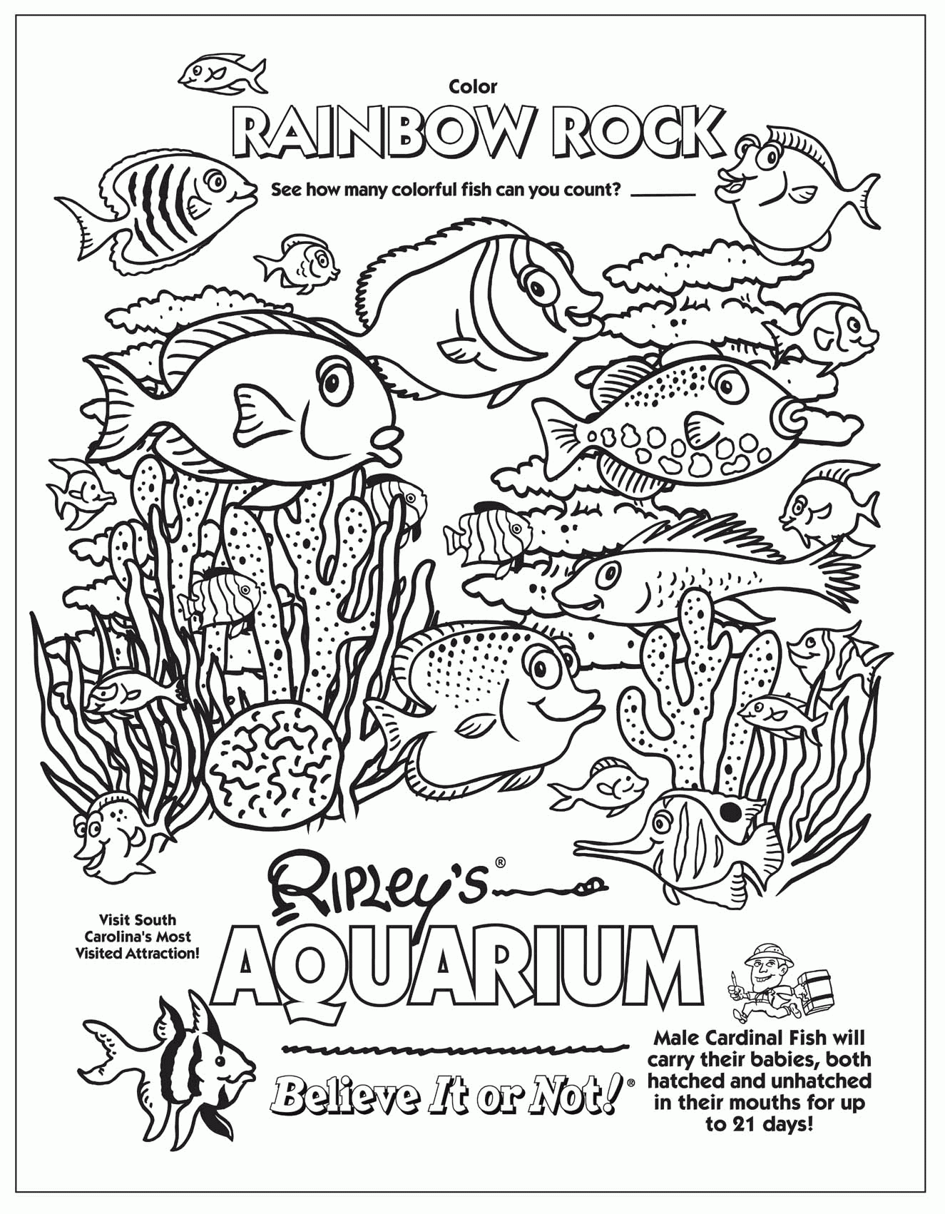 amazing Aquarium coloring page Kids Coloring Book Learning stylish structure – fish in aquarium coloring pages