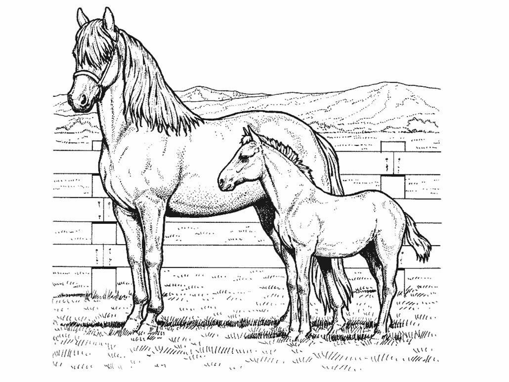 astonishing free printable coloring pages of cool designs Search My stunning layout – free printable horse coloring pages