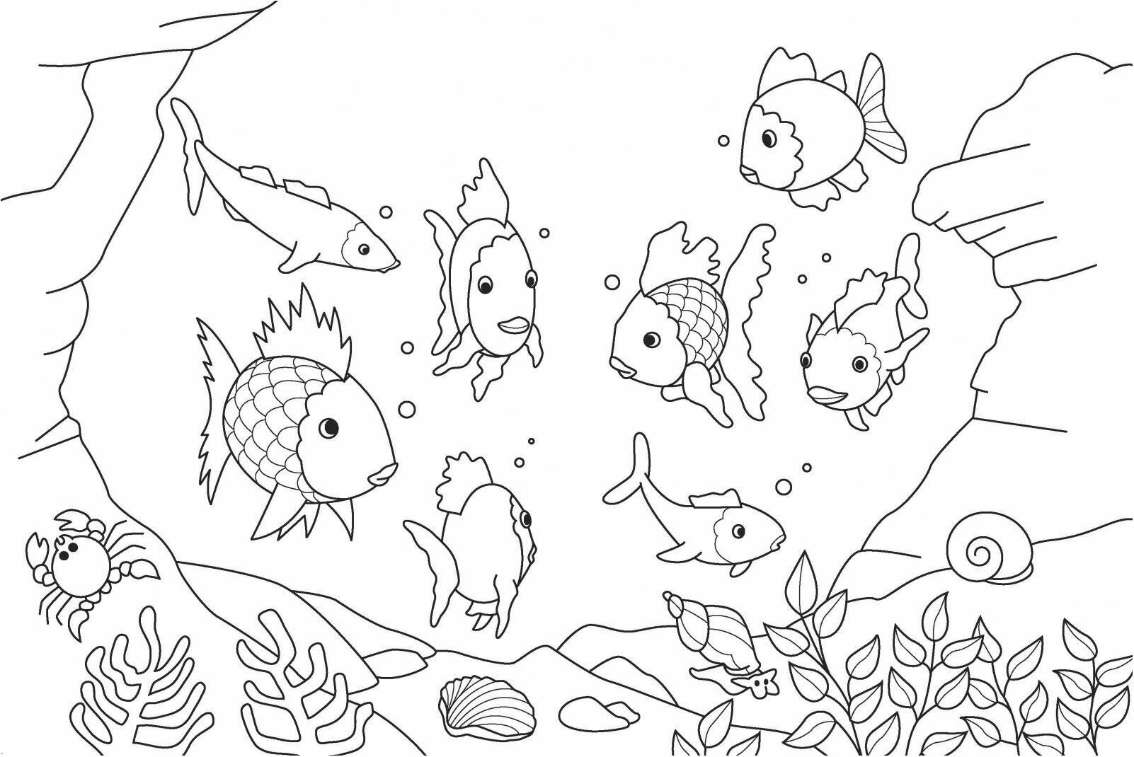 beautifull rio para con fresh format fish in aquarium coloring pages 