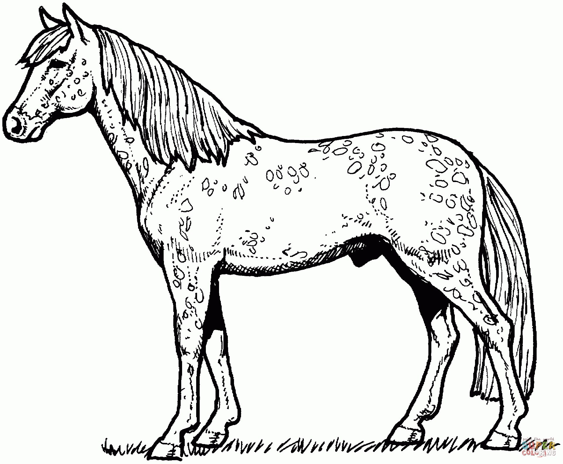 great Horses coloring pages Free Coloring Pages – realistic horse coloring pages printable
