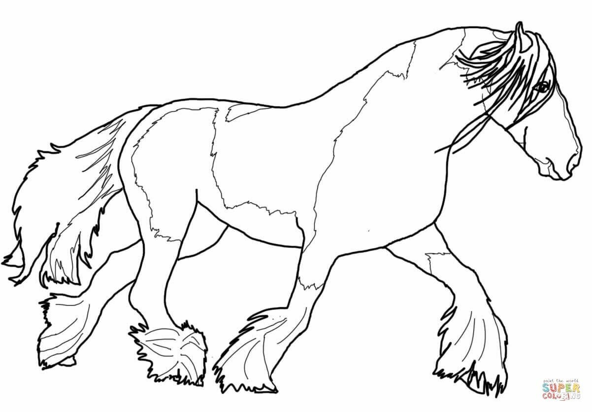 remarkable gypsy vanner horse coloring page free printable coloring pages free printable horse coloring pages for adults 