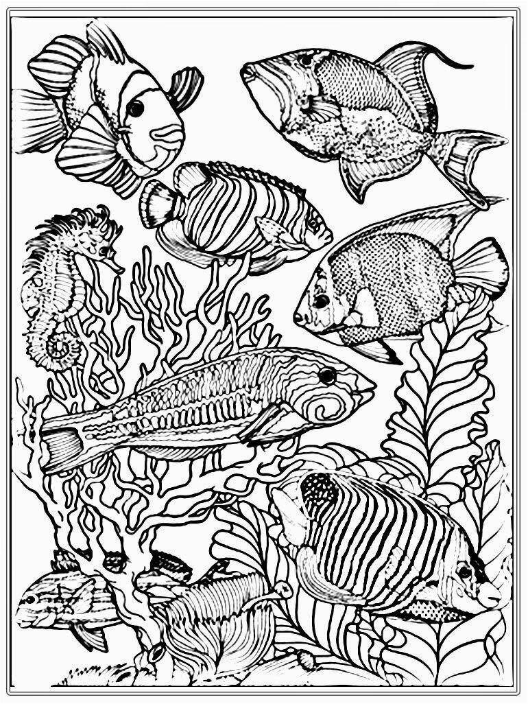 sensational coloring pages exquisite ocean coloring pages for adults adult free exciting conceptualization fish in aquarium coloring pages 