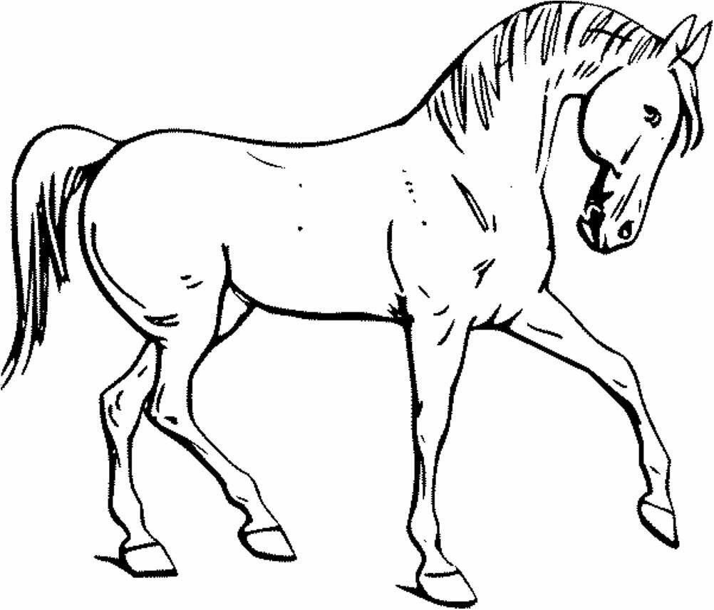 terrific Fun Horse Coloring Pages for Your Kids Printable – free printable horse coloring pages for adults