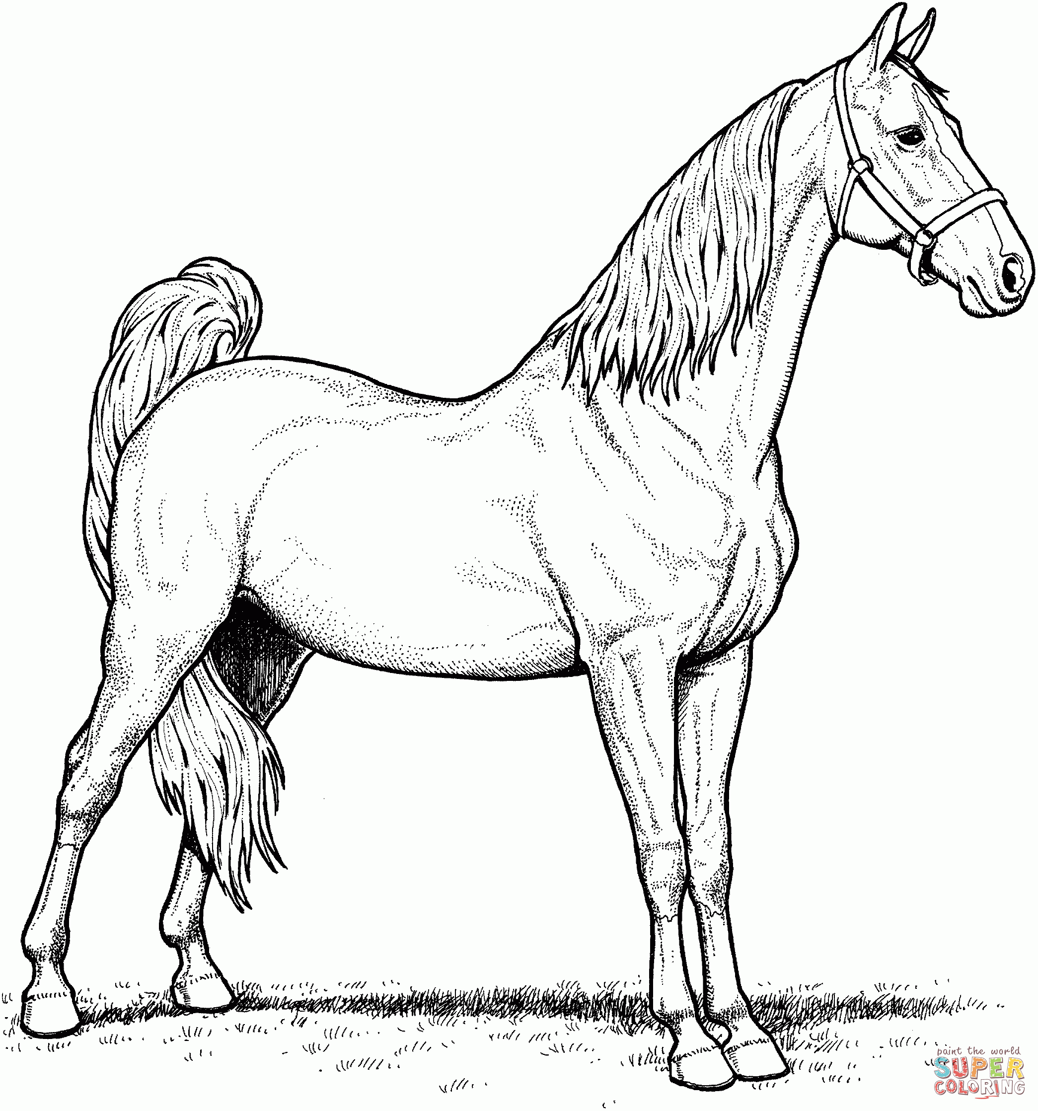 wonderfull Horses coloring pages Free Coloring Pages – realistic horse coloring pages printable