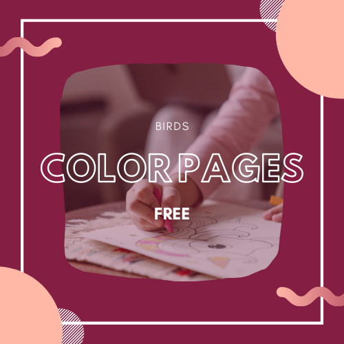 You are currently viewing Color sheets for kids [Birds]